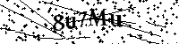 Bitte geben Sie die Buchstaben und Zahlen unten ein