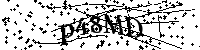 Bitte geben Sie die Buchstaben und Zahlen unten ein
