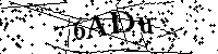 Bitte geben Sie die Buchstaben und Zahlen unten ein