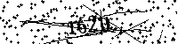 Bitte geben Sie die Buchstaben und Zahlen unten ein