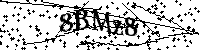 Bitte geben Sie die Buchstaben und Zahlen unten ein