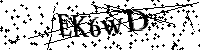 Bitte geben Sie die Buchstaben und Zahlen unten ein