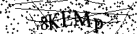 Bitte geben Sie die Buchstaben und Zahlen unten ein