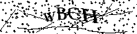 Bitte geben Sie die Buchstaben und Zahlen unten ein