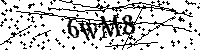 Bitte geben Sie die Buchstaben und Zahlen unten ein
