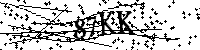 Bitte geben Sie die Buchstaben und Zahlen unten ein