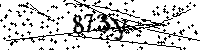 Bitte geben Sie die Buchstaben und Zahlen unten ein