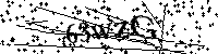 Bitte geben Sie die Buchstaben und Zahlen unten ein
