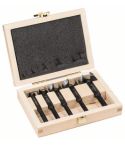 Bosch 2608577022 Pro Forstnerbohrer Set, 5 Stück